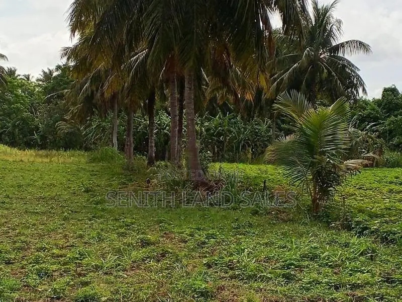 දඹුල්ල අවටින් අක්කර 4ක් ව්කිණිමට ඇත