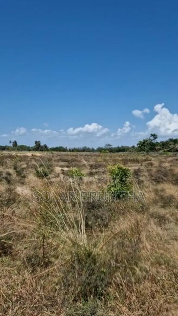 10 Acre Land For Sale Poonakary