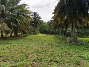 දඹුල්ල අවටින් අක්කර 4ක් ව්කිණිමට ඇත