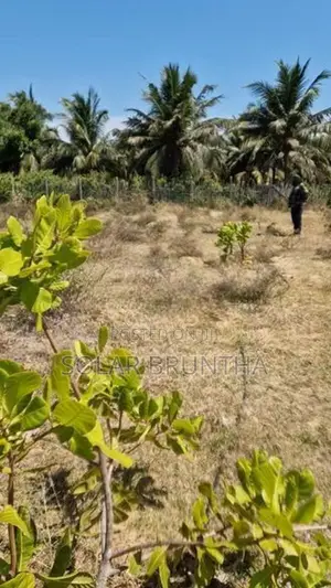 10 Acre Land For Sale Poonakary