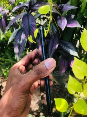Apple iPhone 7 Plus (Used)