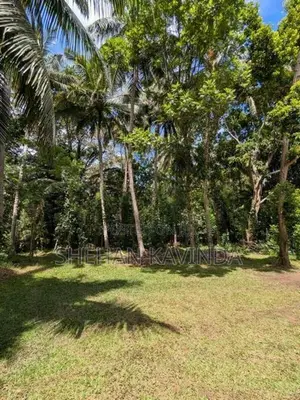 ඉඩමක් විකිනීමට Wellawaya