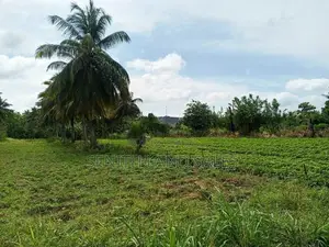 දඹුල්ල අවටින් අක්කර 4ක් ව්කිණිමට ඇත