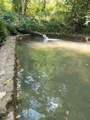 Land for sale in Yatiyantota