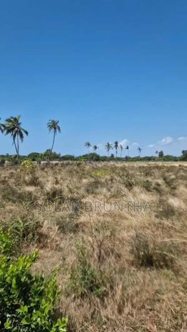 10 Acre Land For Sale Poonakary