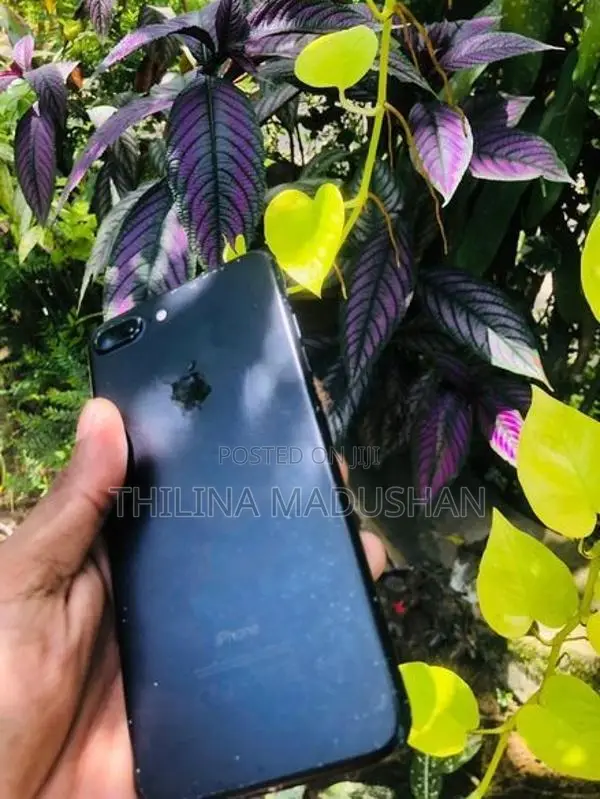Apple iPhone 7 Plus (Used)