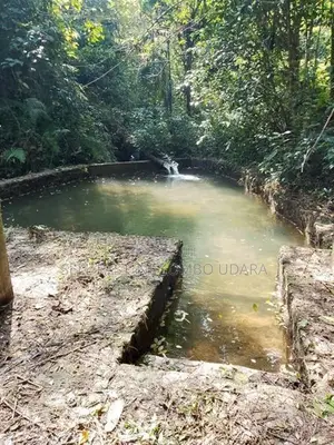 Land for sale in Yatiyantota