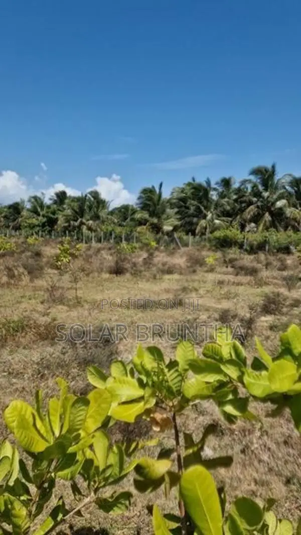 10 Acre Land For Sale Poonakary