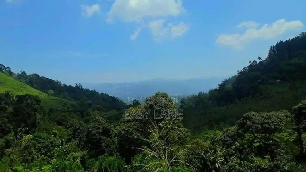 නාවලපිටියෙන් අක්කර 1 3/4ක වටිනා ඉඩමක්