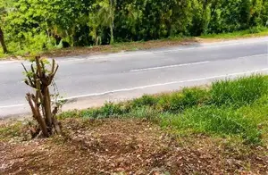 Land for Sale Galagedara