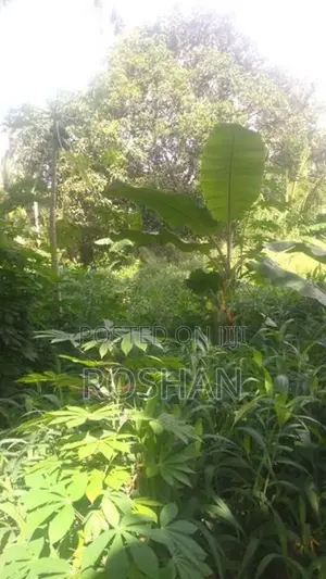 Land for Sale Katunayaka