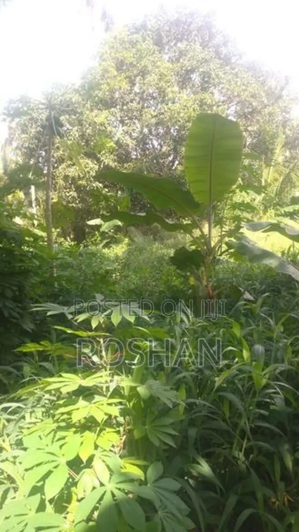 Land for Sale Katunayaka