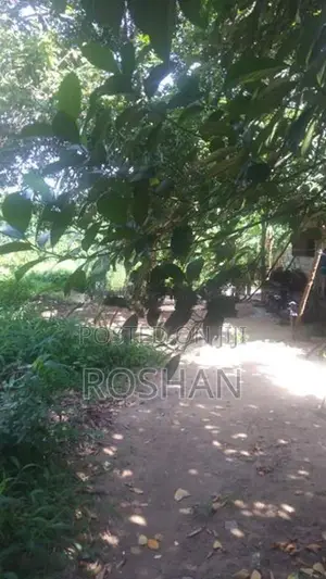 Land for Sale Katunayaka