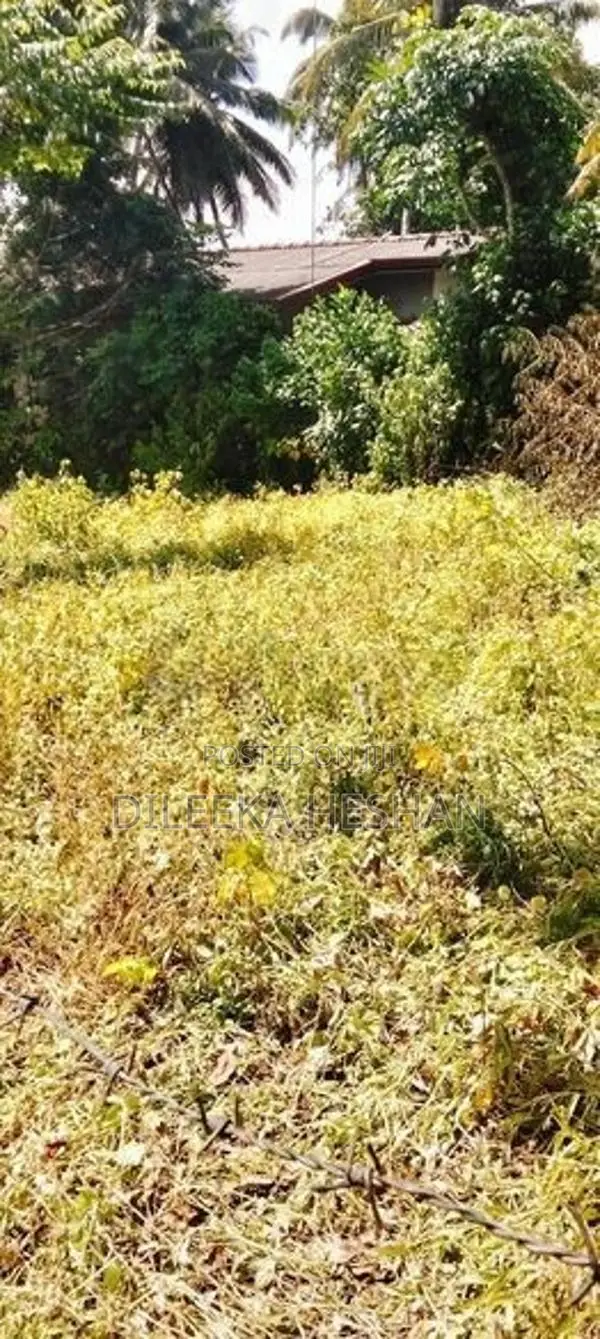 Bare Land for Sale - Uswatta