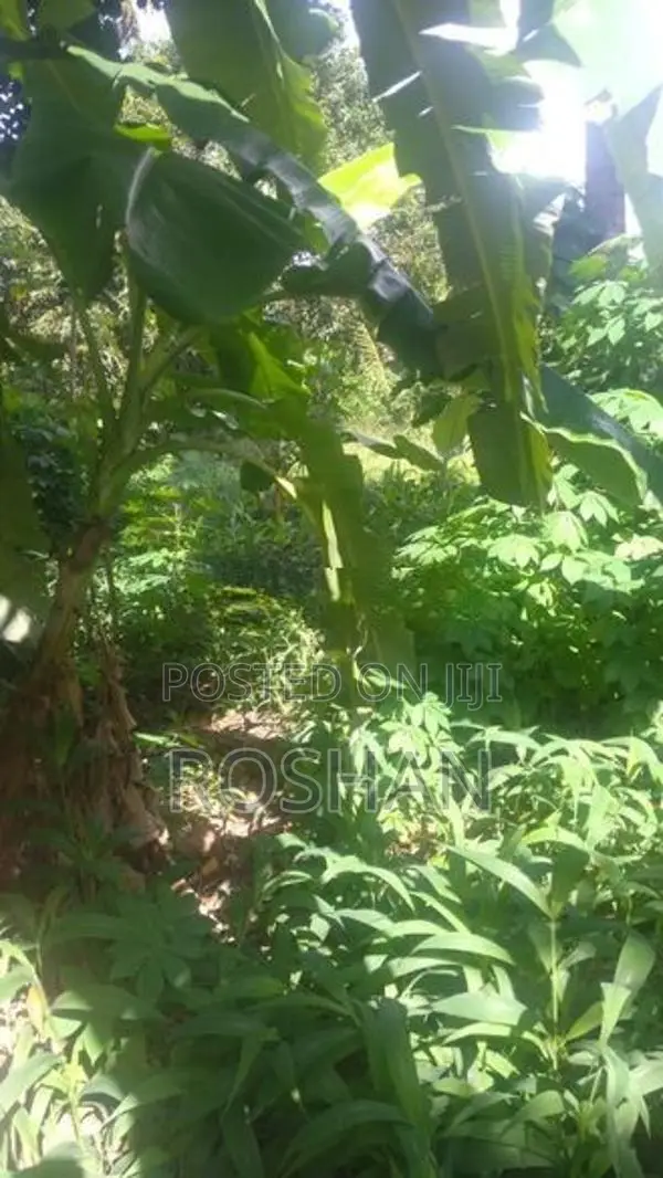 Land for Sale Katunayaka