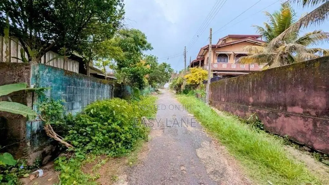 කිරිල්ලවලින් වටිනා ඉඩමක්