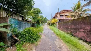 කිරිල්ලවලින් වටිනා ඉඩමක්