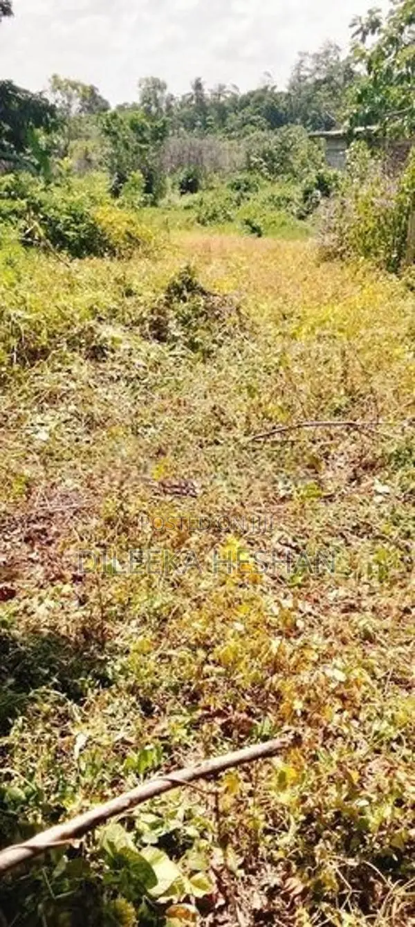 Bare Land for Sale - Uswatta