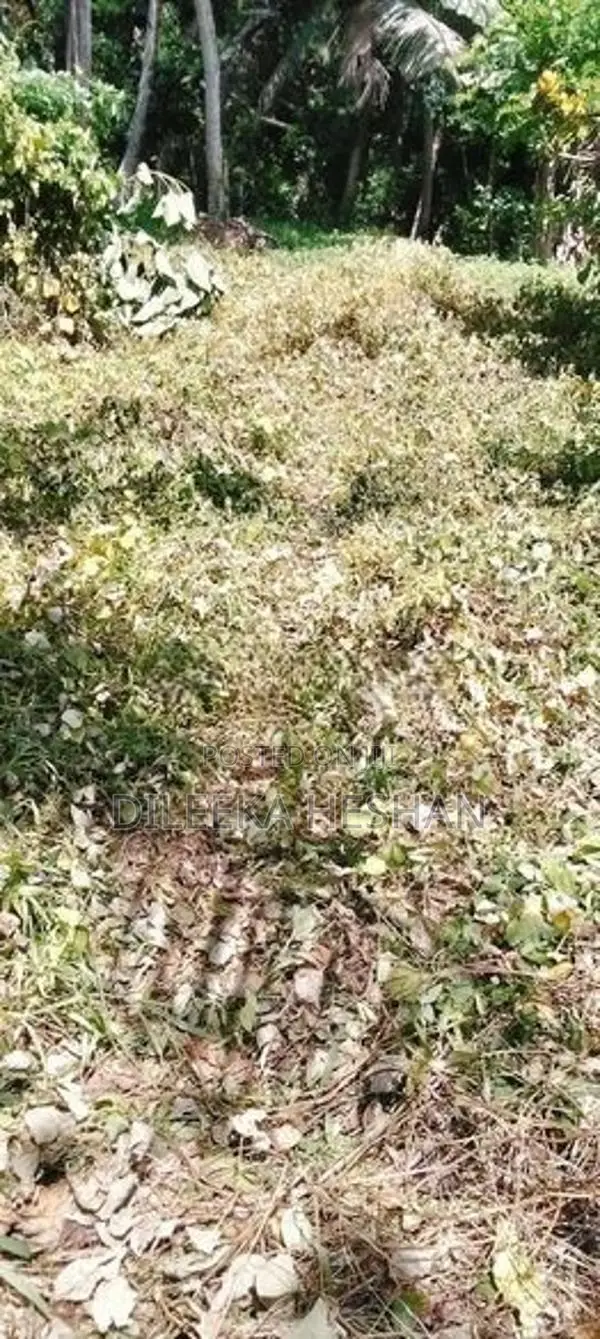 Bare Land for Sale - Uswatta