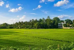 Embulgama ඉඩමක්