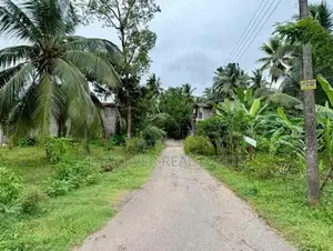 නමගමුව දේවාලයට නුදුරින්, නිදහස් පරිසරයකින් වටිනා ඉඩම් කොටස් 2ක්