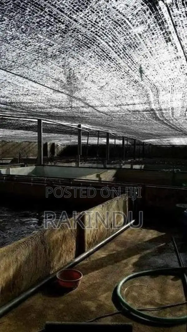 Fish Farm for Sale Negombo