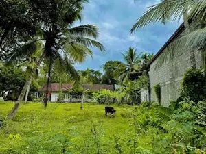 නමගමුව දේවාලයට නුදුරින්, නිදහස් පරිසරයකින් වටිනා ඉඩම් කොටස් 2ක්