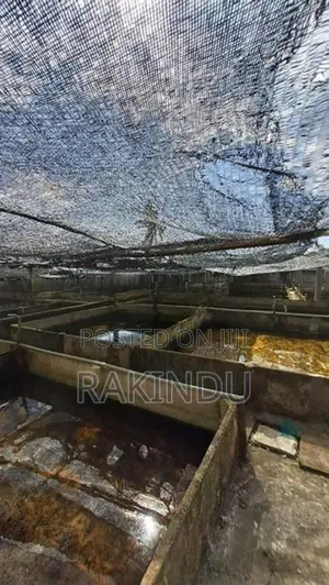 Fish Farm for Sale Negombo