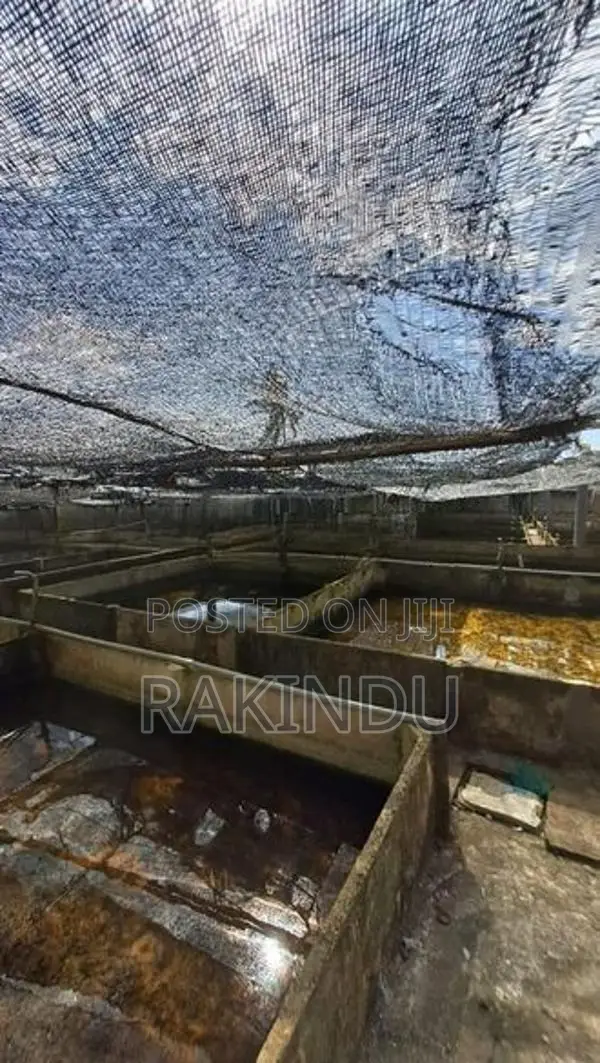 Fish Farm for Sale Negombo
