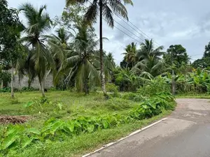 නමගමුව දේවාලයට නුදුරින්, නිදහස් පරිසරයකින් වටිනා ඉඩම් කොටස් 2ක්