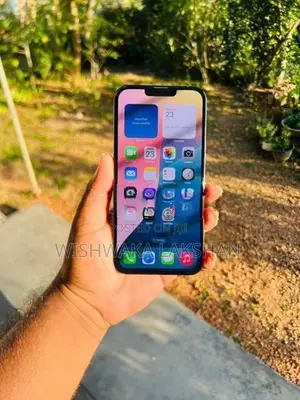 Apple iPhone 13 Pro Max 256GB (Used)