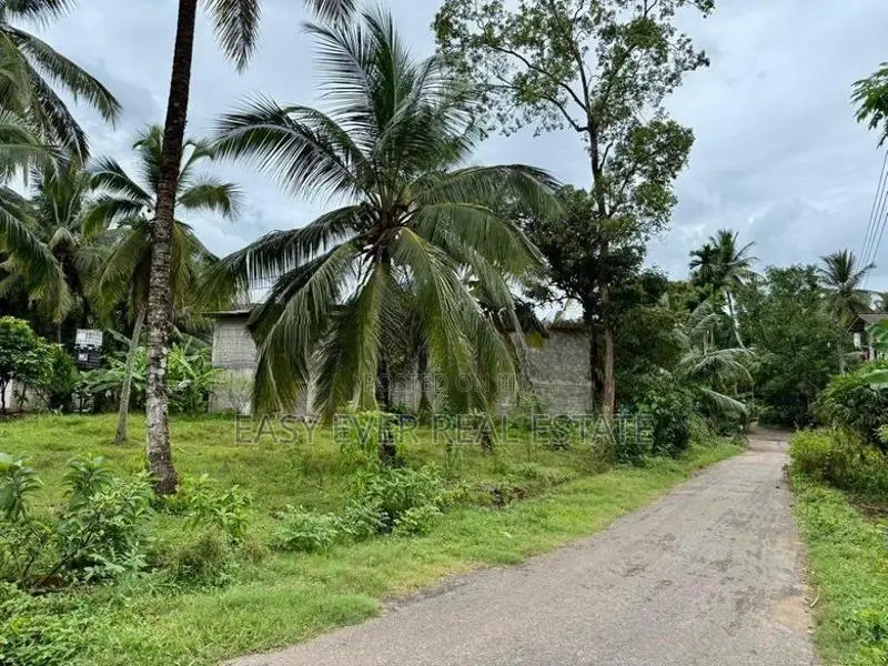 නමගමුව දේවාලයට නුදුරින්, නිදහස් පරිසරයකින් වටිනා ඉඩම් කොටස් 2ක්