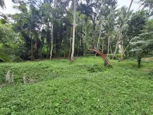 1 Acres of Land for Sale in Ahugammana Delgoda.