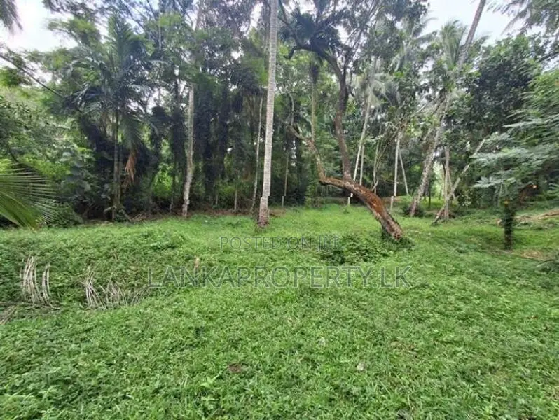 1 Acres of Land for Sale in Ahugammana Delgoda.