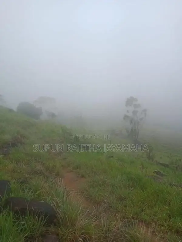 Land Sale in Hatton