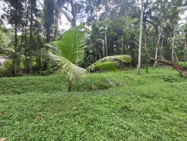1 Acres of Land for Sale in Ahugammana Delgoda.