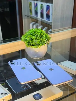 Apple iPhone 11 128GB (Used)