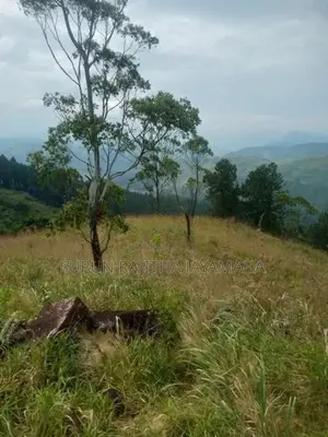 Land Sale in Hatton