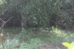 Land for Sale in Ella