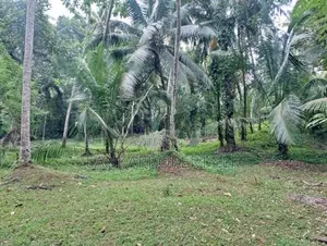 1 Acres of Land for Sale in Ahugammana Delgoda.