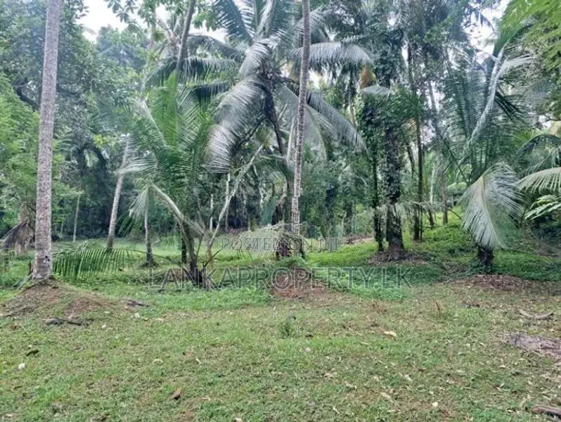 1 Acres of Land for Sale in Ahugammana Delgoda.