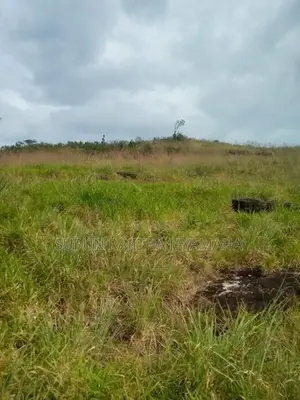Land Sale in Hatton