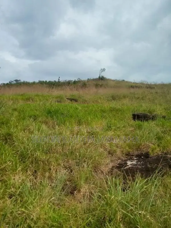 Land Sale in Hatton