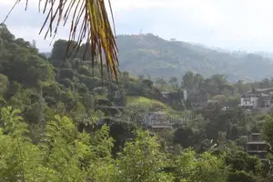 Land for Sale in Ella