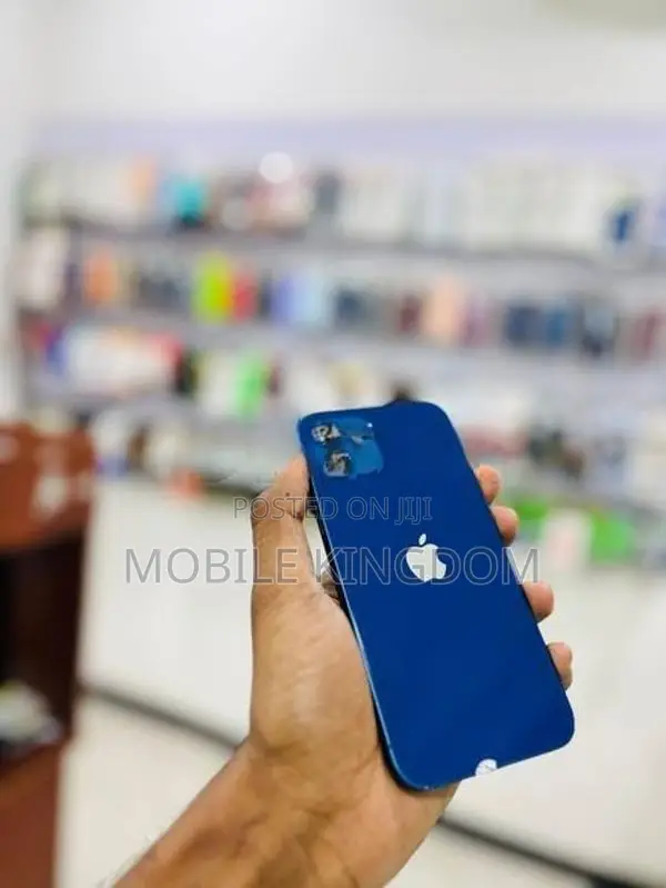 Apple iPhone 12 128GB (Used)