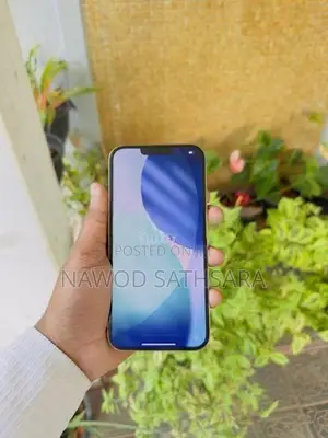 Apple iPhone 13 Pro Max (Used)