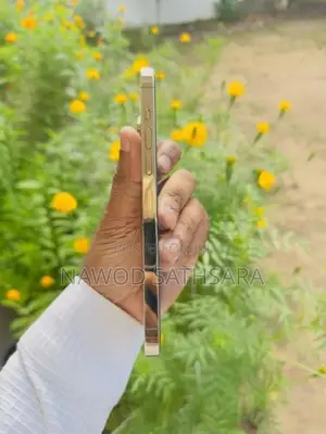 Apple iPhone 13 Pro Max (Used)