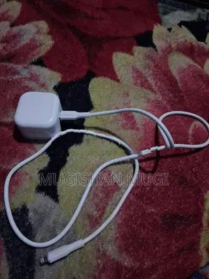 Apple iPhone Charger
