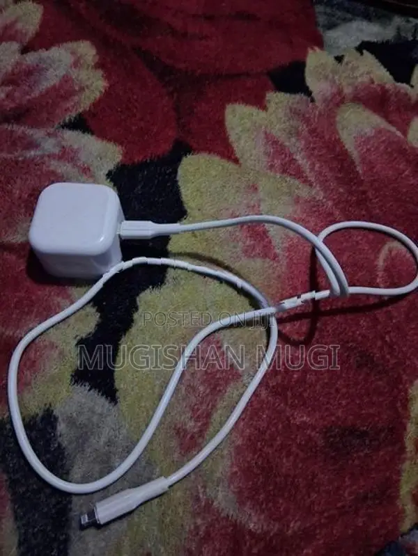Apple iPhone Charger