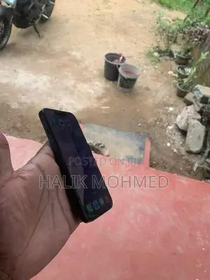Apple iPhone 13 (Used)